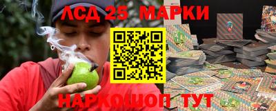 гидропоника Можайск