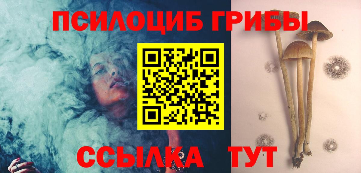Псилоцибиновые грибы Psilocybe Карасук